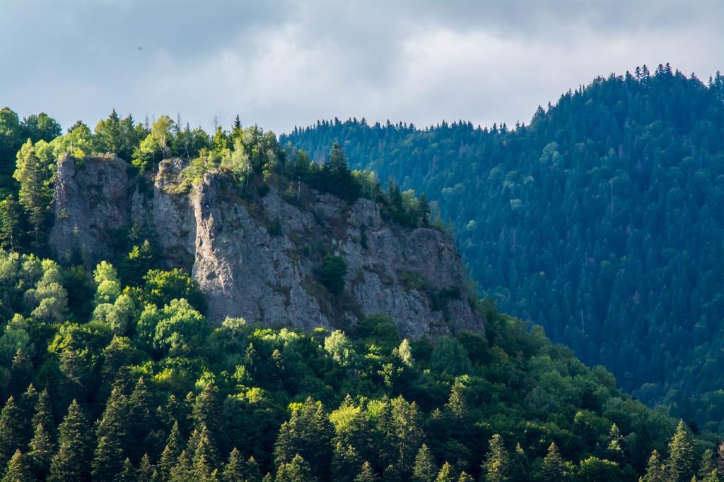 Complex Anna Tusnádfürdő Kültér fotó