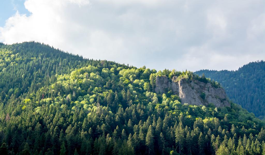 Complex Anna Tusnádfürdő Kültér fotó